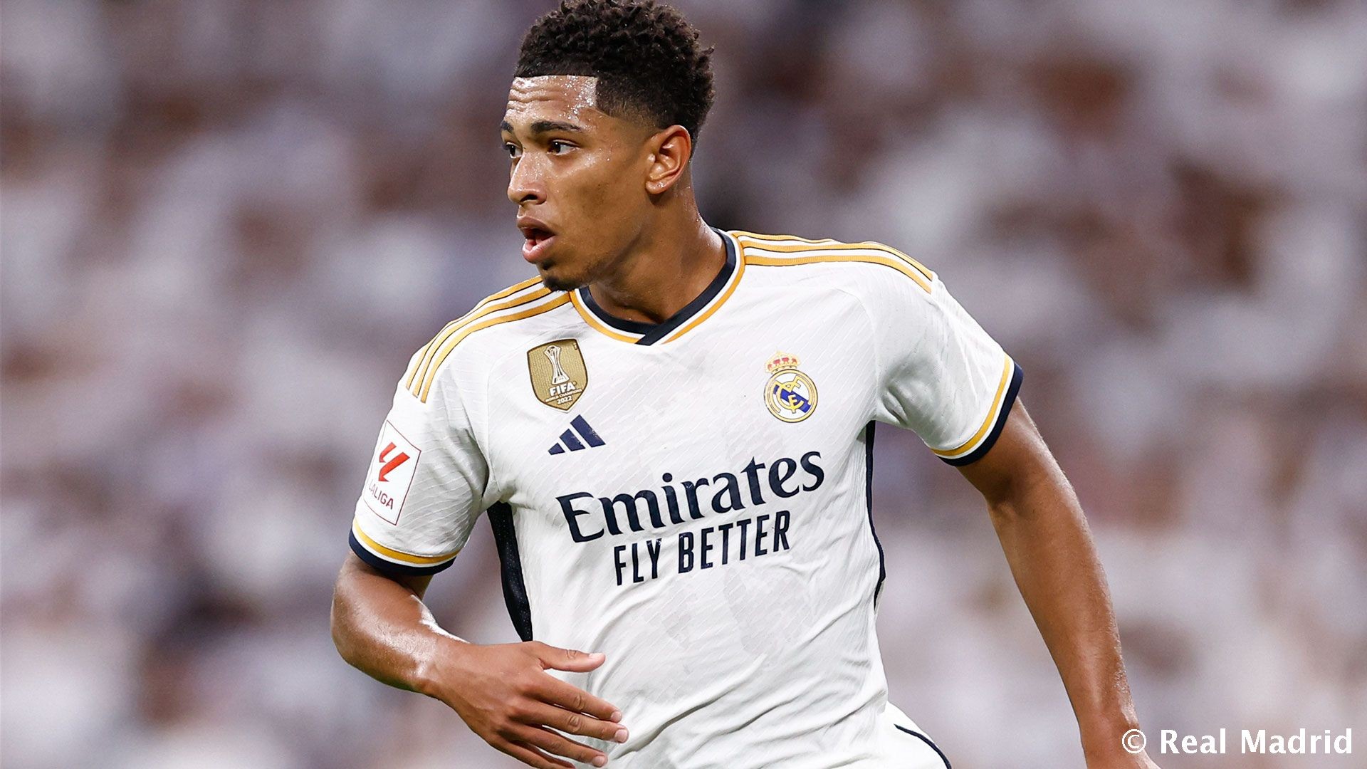 懂球译站 ｜ 英超想卫冕，为何这么难？（懂球译站 ｜ 英超为何难以卫冕？）